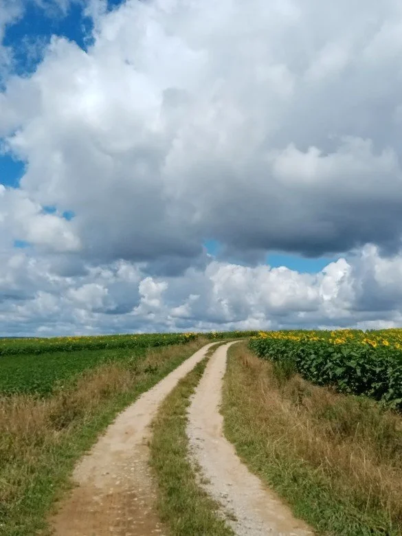Accompagnement en naturopathie holistique