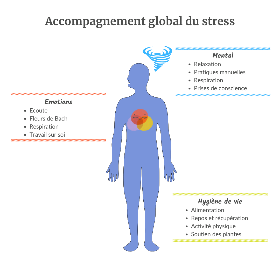 Accompagnement global du stress : mental, émotions, hygiène de vie